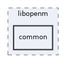 /home/build_doc/ompp-make-doc/ompp-main/include/libopenm/common